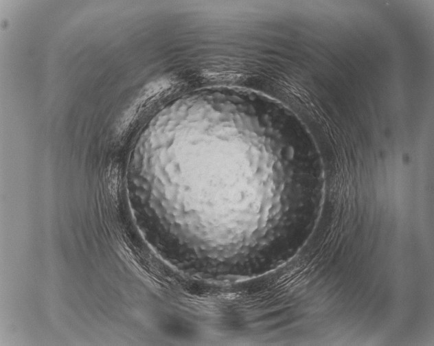 X0000057100647200509161656