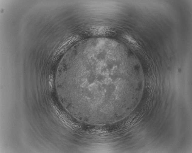 X0000057100648200509161656