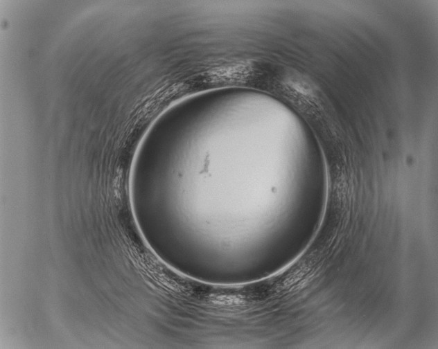 X0000057100649200509161656