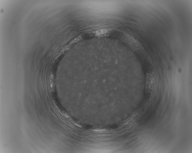 X0000057100650200509161656