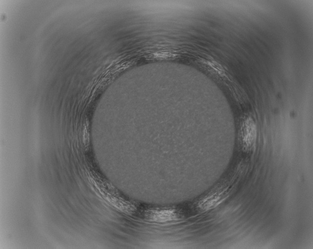 X0000057100651200509161656