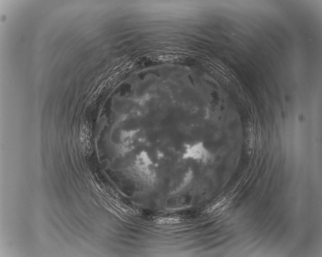 X0000057100653200509161656