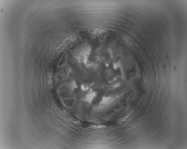 X0000057100654200509161656