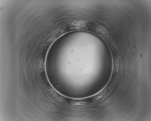 X0000057100657200509161656