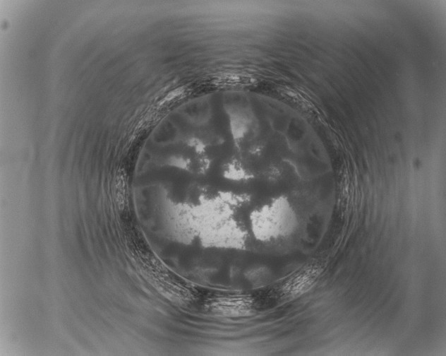 X0000057100659200509161656