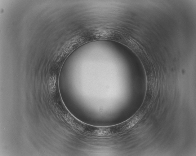 X0000057100660200509161656