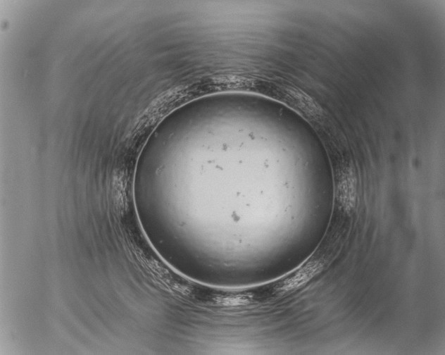 X0000057100662200509161656