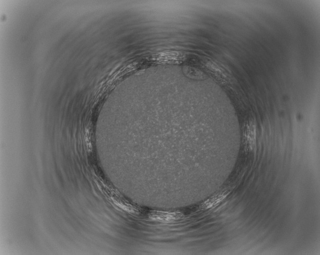 X0000057100663200509161656