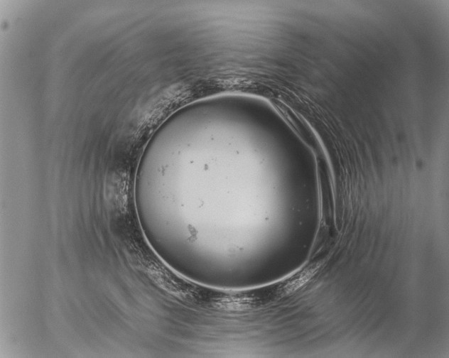 X0000057100664200509161656