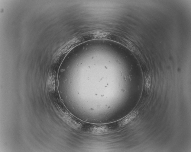 X0000057100666200509161656