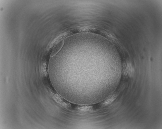 X0000057100670200509161656