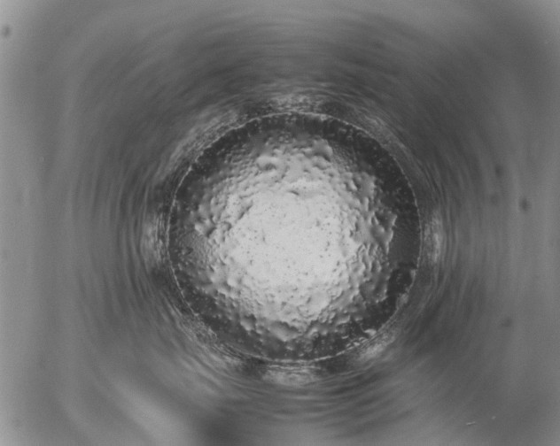 X0000057100671200509161656