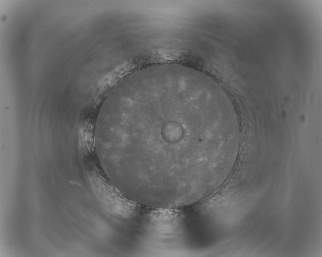 X0000057100672200509161656