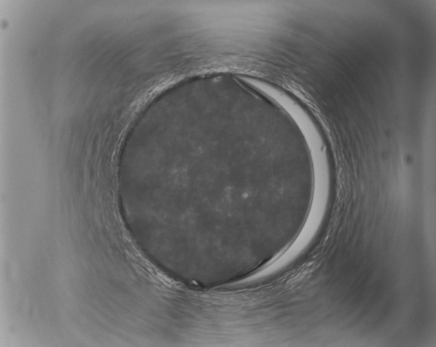 X0000057100673200509161655