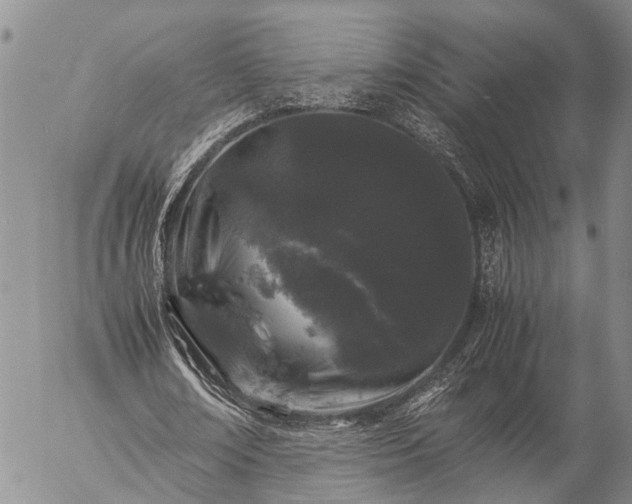 X0000057100674200509161655