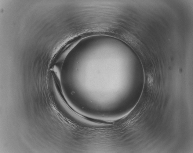 X0000057100676200509161655