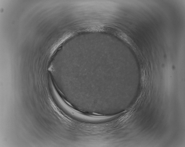 X0000057100677200509161655