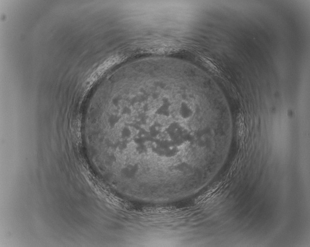 X0000057100679200509161655