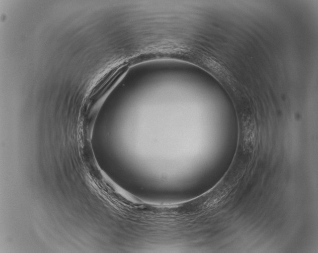 X0000057100680200509161655