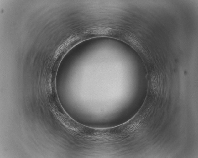 X0000057100682200509161655