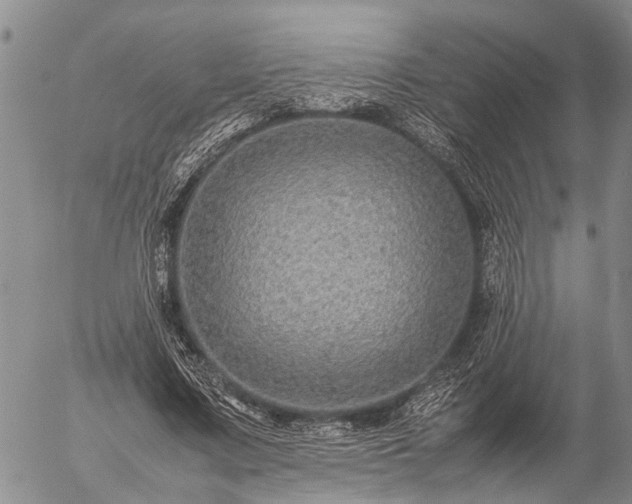 X0000057100683200509161655