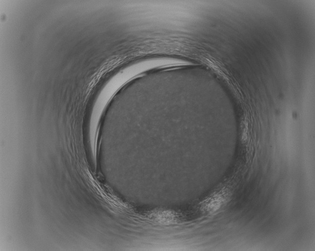 X0000057100685200509161655