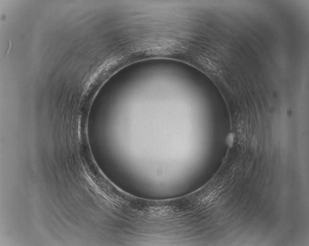 X0000057100686200509161655