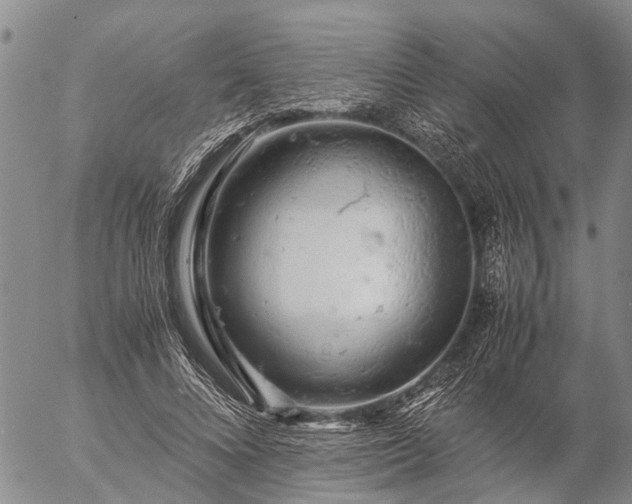 X0000057100688200509161655