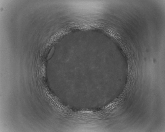 X0000057100689200509161655