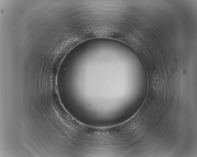 X0000057100690200509161655