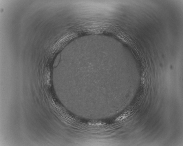 X0000057100693200509161655