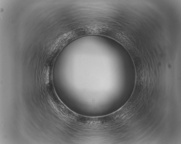 X0000057100694200509161655