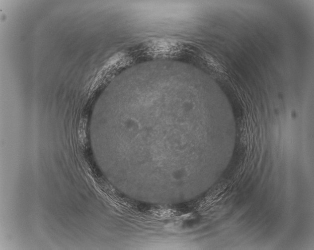 X0000057100695200509161655