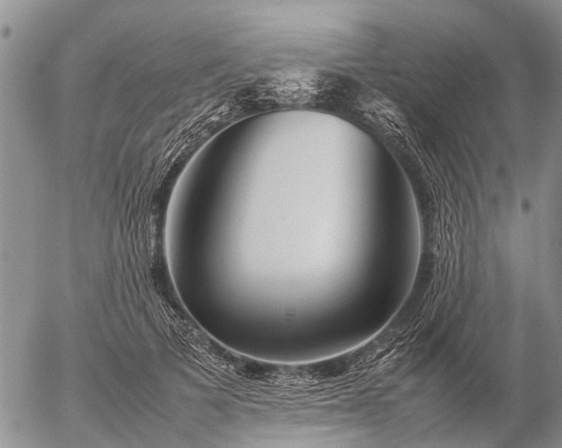 X0000057100697200509161655