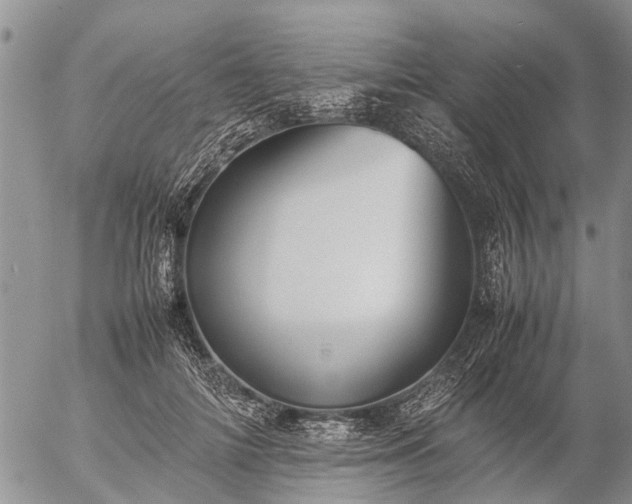 X0000057100698200509161655