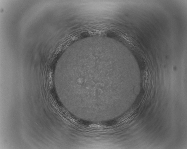 X0000057100699200509161655