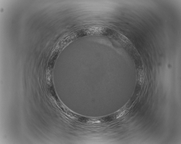 X0000057100701200509161655