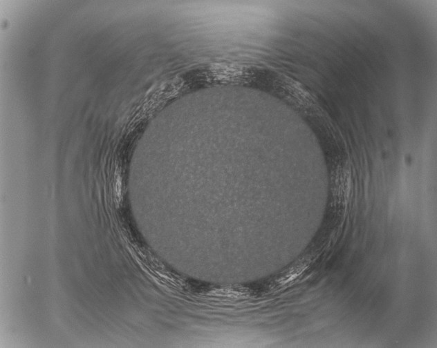 X0000057100703200509161655