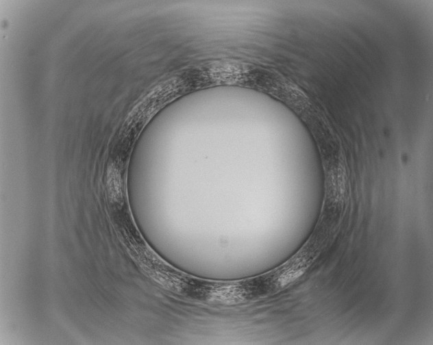 X0000057100705200509161655