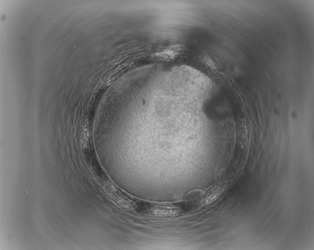 X0000057100707200509161655