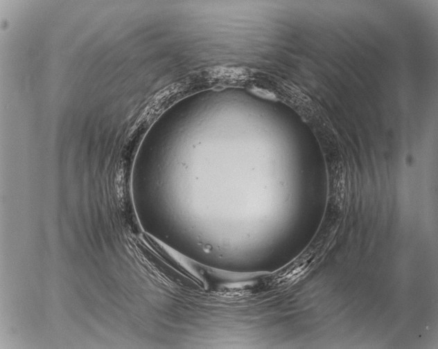 X0000057100708200509161655