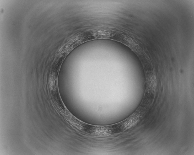 X0000057100709200509161655