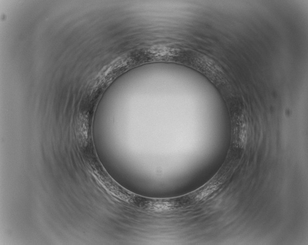 X0000057100710200509161655