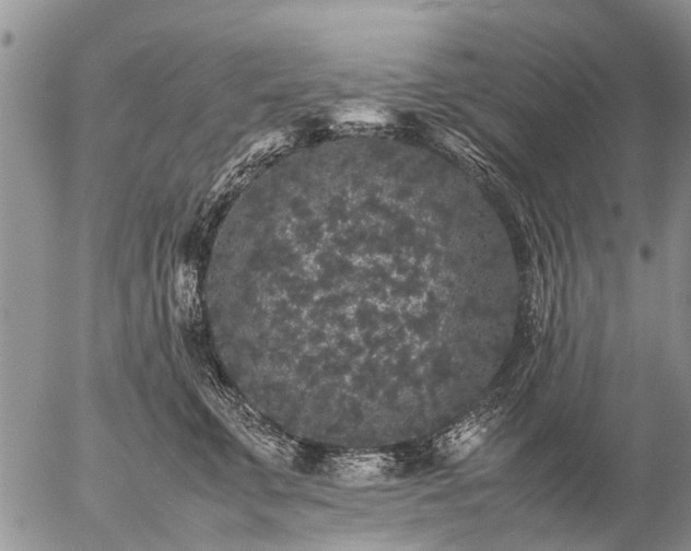 X0000057100711200509161655