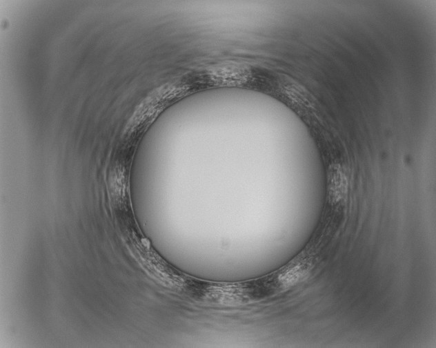 X0000057100713200509161655