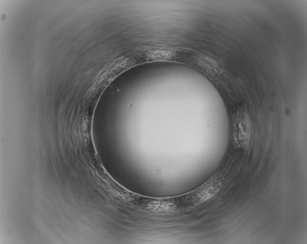 X0000057100714200509161655