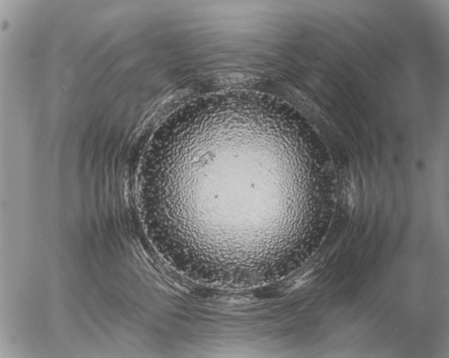 X0000057100716200509161655