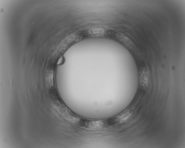 X0000057100717200509161655