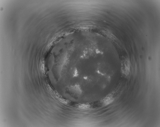 X0000057100718200509161654