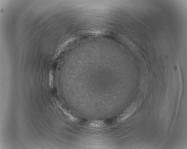 X0000057100720200509161654